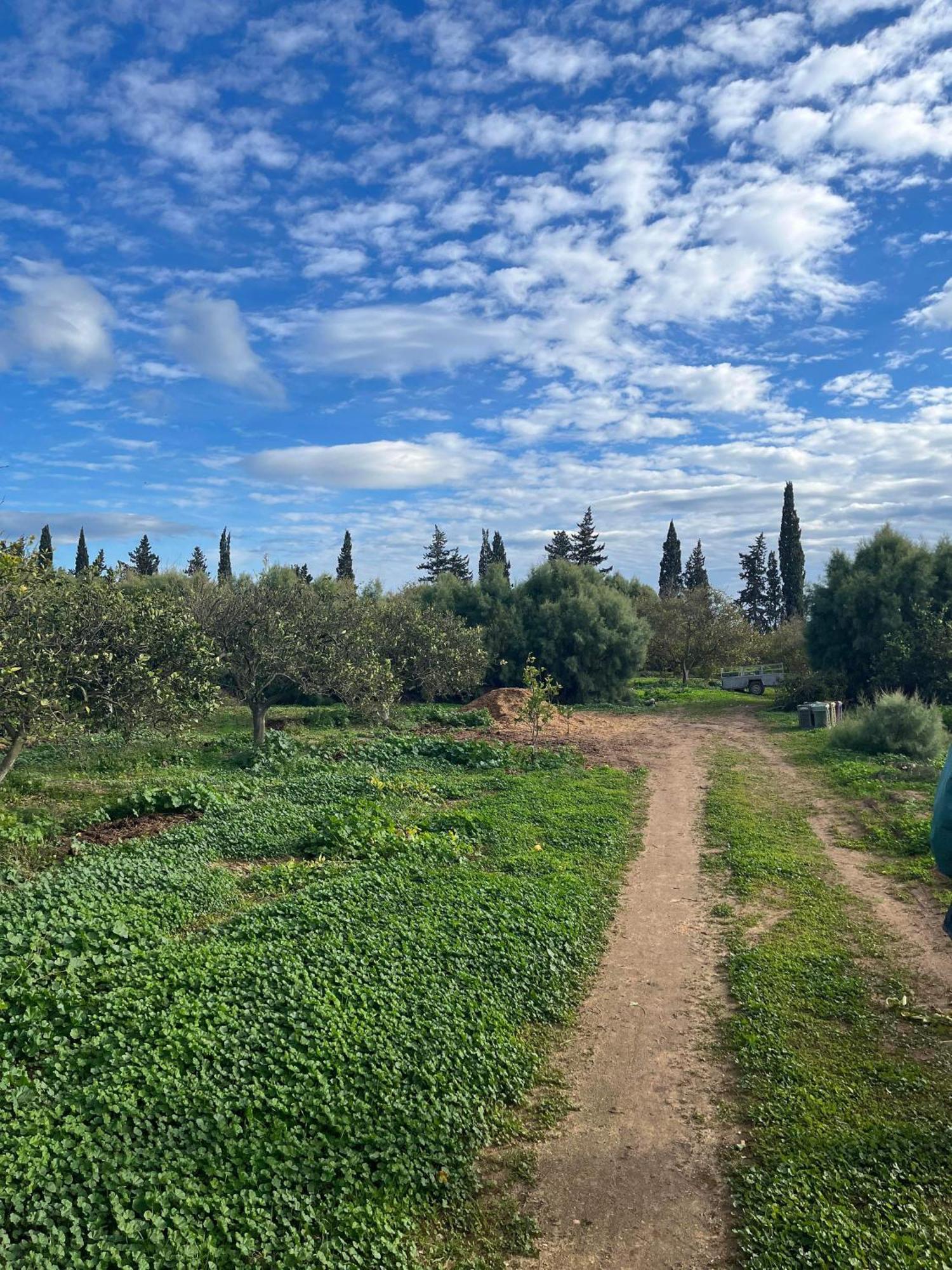 Dar Louzir A Tazarka Villa Luaran gambar